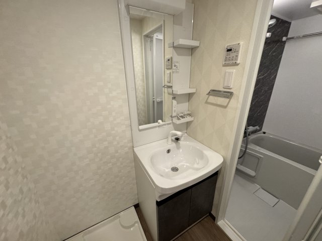 S-RESIDENCE今池beleta(ベレータ) 洗面所