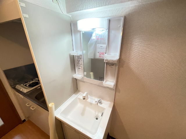 長谷川１７番館 洗面所