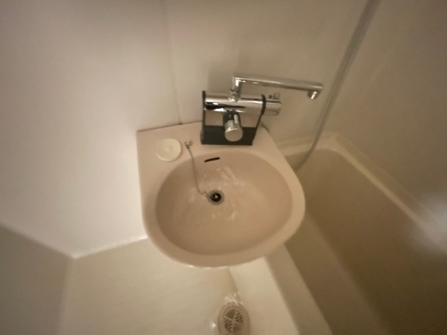 長谷川１２番館 洗面所