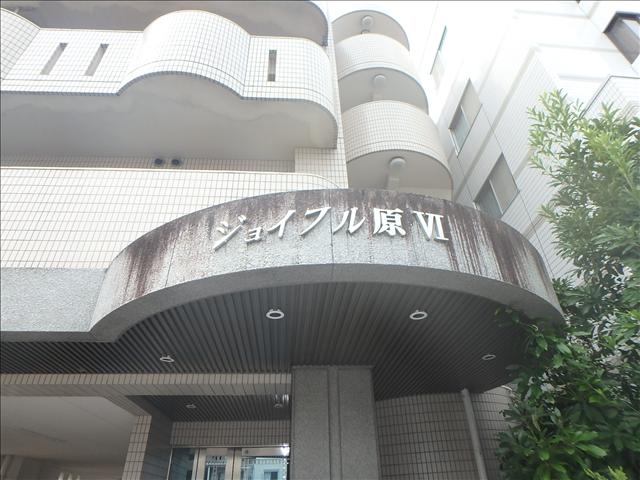 ジョイフル原Ⅵ その他