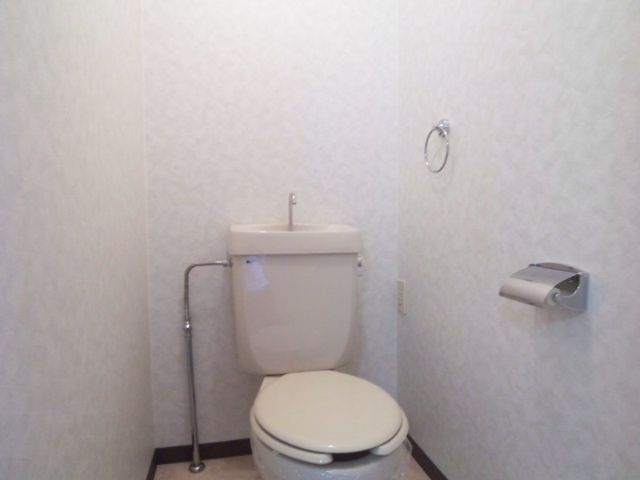 苺マンション トイレです