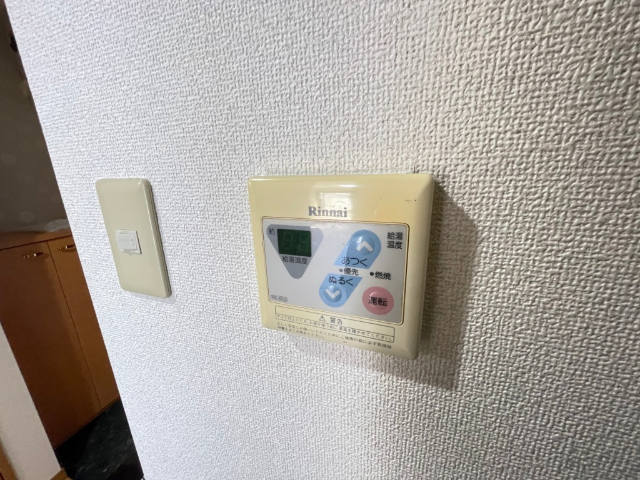 LUMINOUS TSURUMAKOEN その他