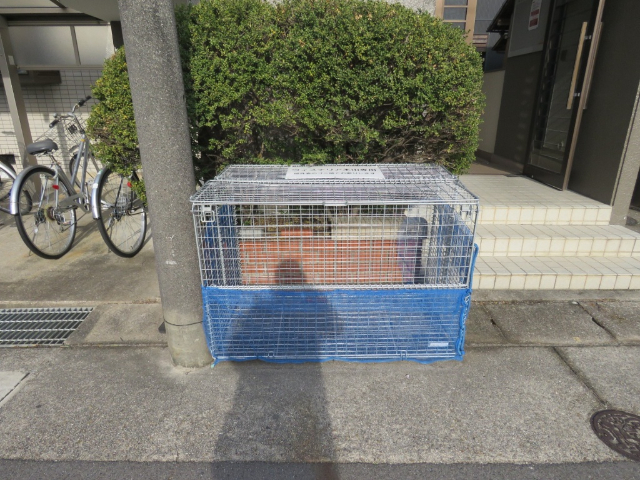 ウィステリア本山 エントランス