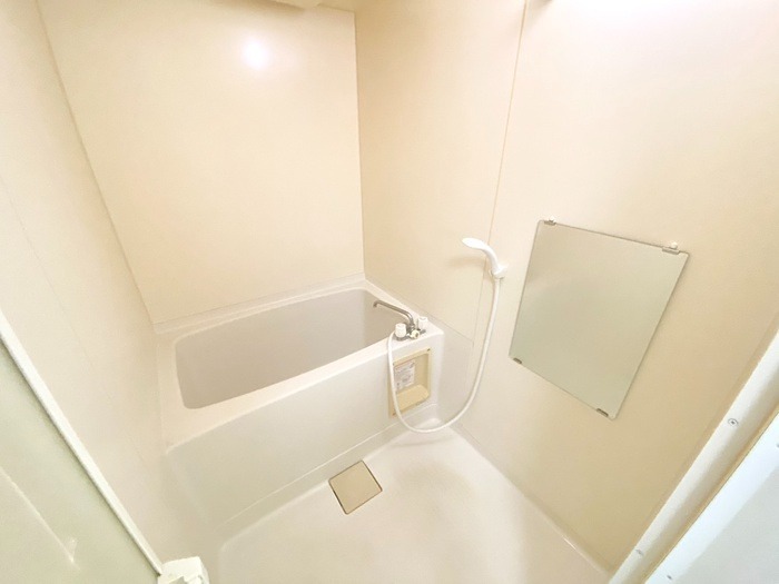 Ｖｉａ　Ｌａｃｔｅａ バス・シャワールーム