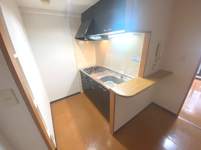 小川の荘 キッチン