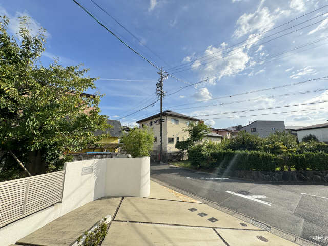 ジャクソン・バレー 展望