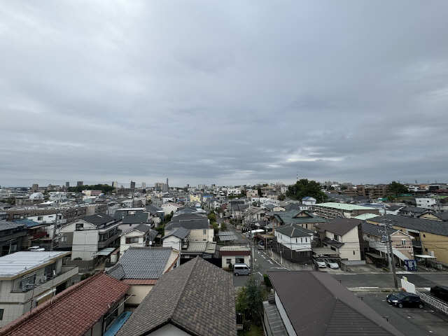 ＳＨＩＮＫＯ　ＴＡＳＨＩＲＯ 展望