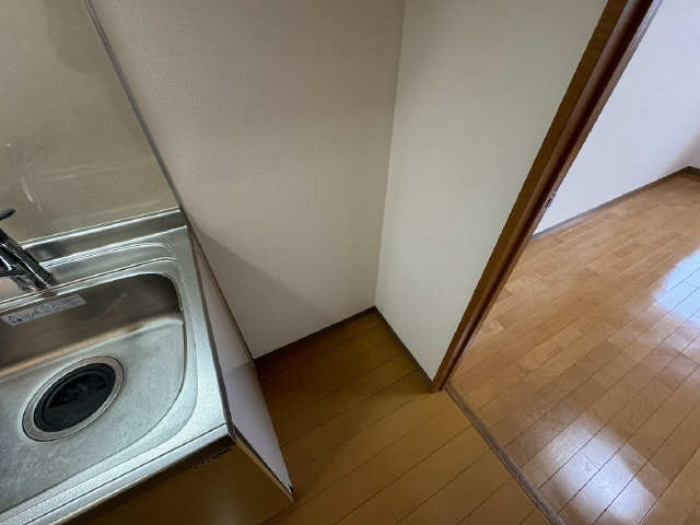 ＳＨＩＮＫＯ　ＴＡＳＨＩＲＯ その他