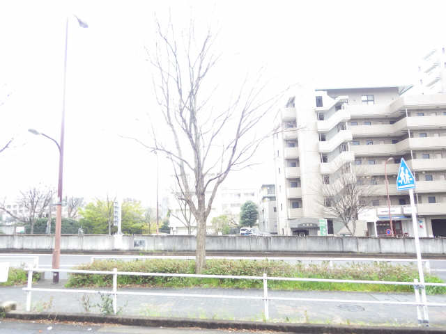 パークステイ鏡ヶ池 展望
