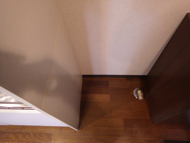 パークステイ鏡ヶ池 その他
