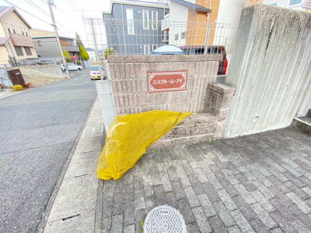 エスブルーム・アイ その他