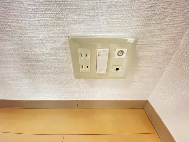 フラワーズドリームⅡ その他