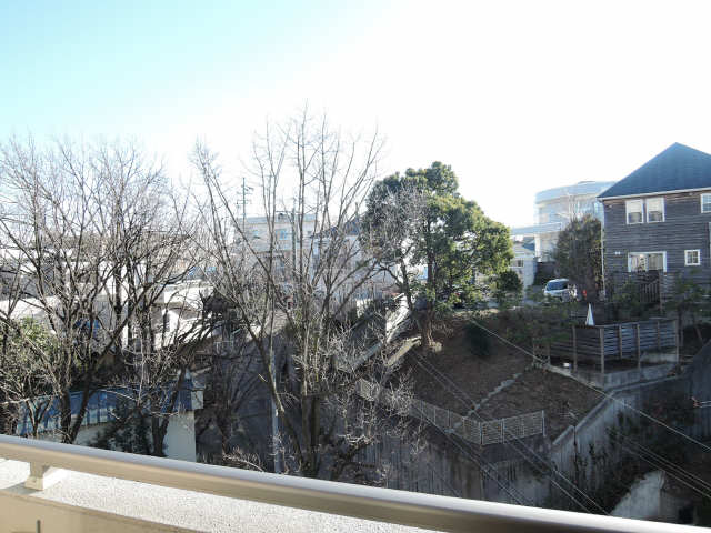 ヒルズ八幡山 展望