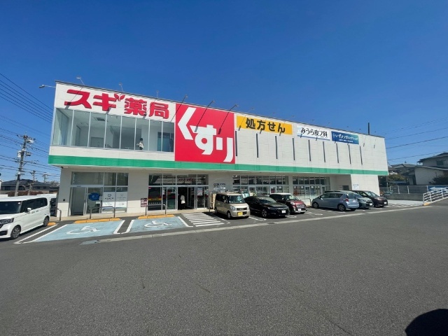 コータスⅡ スギ薬局