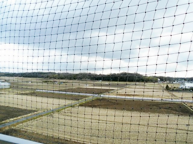 ＡＺＡＬＥＡ２号館 反転タイプのお部屋の写真です。