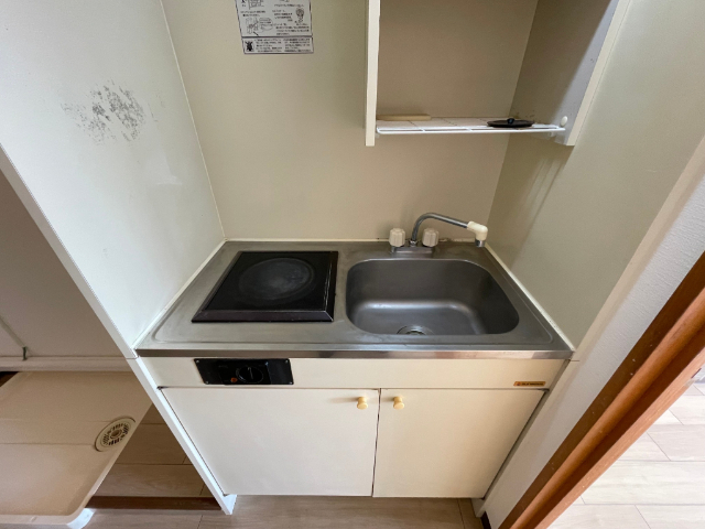 ＡＺＡＬＥＡ２号館 反転タイプのお部屋の写真です。