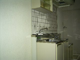 苺マンション その他