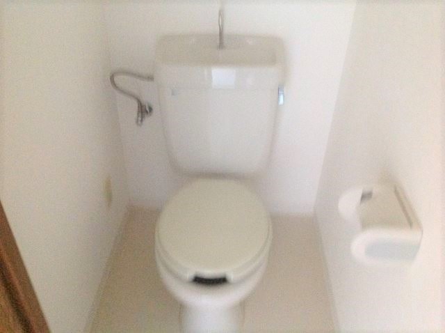 キャッスルハウス田園 トイレです。