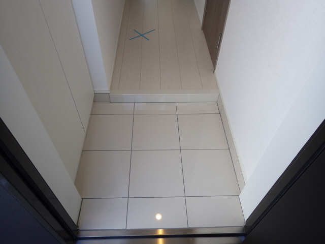 RENAISTERIA MOTOYAMA 玄関